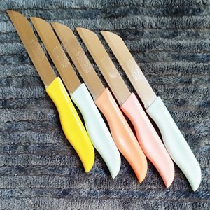 چاقو آشپزخانه مدل اره ای کد 1001 بسته دو عددی