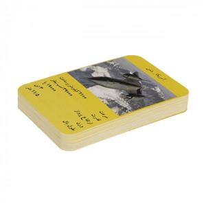 کارت بازی مدل هواپیما