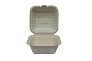 ظرف کاغذی همبرگر مربعی باگاس پیکنیک