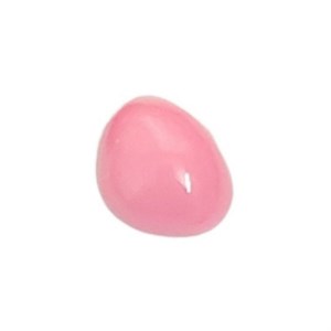 ملزومات عروسک سازی مدل پوزه مثلثی طرح بینی حیوانات کد PIN105 بسته 50 عددی