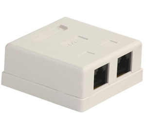 کیستون باکس پی نت پلاس مدل 80-20 Cat5e دو پورت