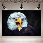 پوستر طرح عقاب خشمگین کد AR10400