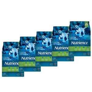 غذای خشک سگ نوترینس مدل Original کد D6011 وزن 2.5 کیلوگرم بسته 5عددی