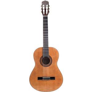 گیتار کلاسیک جان ویلیامز طرح ساده  JW-600