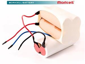 باتری جاروشارژی بلک اند دکر 14.4 ولت 1500 میلی آمپر موریسل