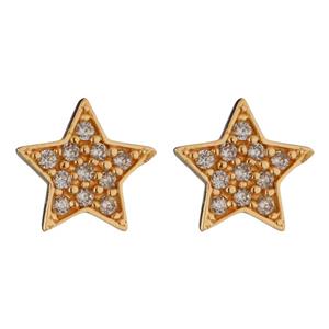 گوشواره طلا 18 عیار زنانه تاج مدل G4 -