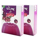 پودر ژله انگور نوشین - 100 گرم مجموعه 2 عددی