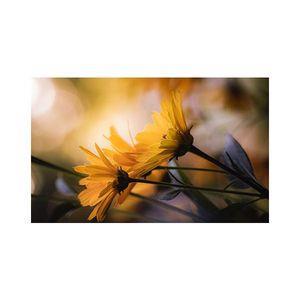 پادری مدل گل و طبیعت کد M35M001-MF0038 سایز 76x46 سانتی متر