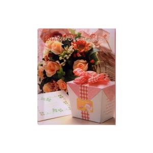 دفتر کلاسوری 100 برگ پاپکو مدل NB-606-P کد DR504