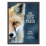 کتاب The Secret Life of Foxes اثر Chloe Petrylak انتشارات مؤلفین طلایی