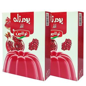 پودر ژله انار نوشین 100 گرم مجموعه 2 عددی 