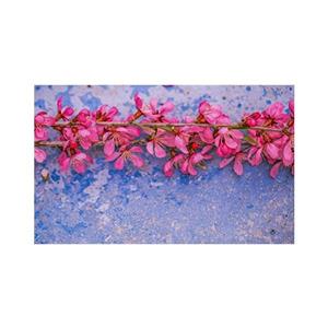 پادری مدل گل و طبیعت کد M35M001-MF0027 سایز 76x46 سانتی متر