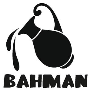 استیکر پارچه و لباس مدل حرارتی طرح بهمن ماه مجموعه 5 عددی 