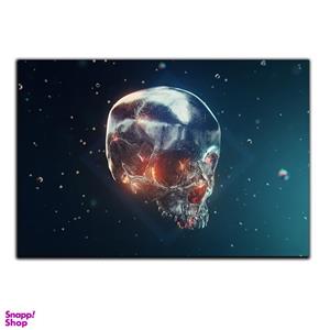 تابلو شاسی بکلیت طرح اسکلت جمجمه مدل SH-S5150