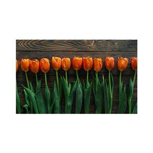 پادری طرح گل و طبیعت کد MN-M35M001-MF0071 سایز 76x46 سانتی متر