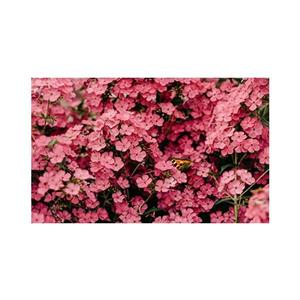 پادری طرح گل و طبیعت کد MN-M35M001-MF0023 سایز 76x46 سانتی متر