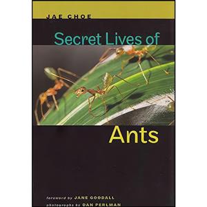 کتاب Secret Lives of Ants اثر جمعی از نویسندگان انتشارات Johns Hopkins University Press 