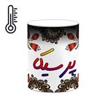 ماگ حرارتی کاکتی مدل اسم پرسیکا طرح سنتی گل و بته کد mgh44373