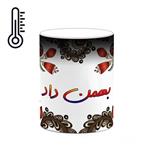 ماگ حرارتی کاکتی مدل اسم بهمن_داد طرح سنتی گل و بته کد mgh44248