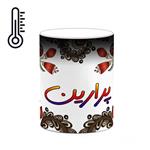 ماگ حرارتی کاکتی مدل اسم پرارین طرح سنتی گل و بته کد mgh44357