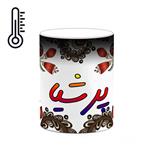 ماگ حرارتی کاکتی مدل اسم پرشیا طرح سنتی گل و بته کد mgh44377