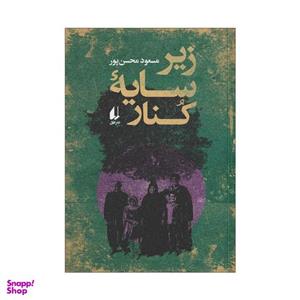 کتاب زیر سایه کنار اثر مسعود محسن پور نشر افق