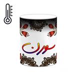 ماگ حرارتی کاکتی مدل اسم سورن طرح سنتی گل و بته کد mgh45673