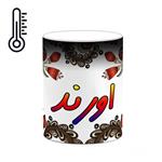 ماگ حرارتی کاکتی مدل اسم اورند طرح سنتی گل و بته کد mgh43936