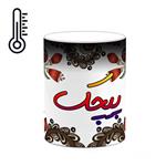 ماگ حرارتی کاکتی مدل اسم پیچک طرح سنتی گل و بته کد mgh44486