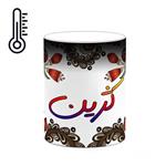 ماگ حرارتی کاکتی مدل اسم کژین طرح سنتی گل و بته کد mgh46586