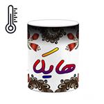 ماگ حرارتی کاکتی مدل اسم هایکا طرح سنتی گل و بته کد mgh48230