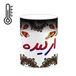 ماگ حرارتی کاکتی مدل اسم ارکیده طرح سنتی گل و بته کد mgh43488