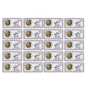 سکه گرمی طلا 18 عیار الن نار مدل پارسیان زردیس ELN58 مجموعه 20 عددی