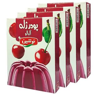 پودر ژله آلبالو نوشین - 100 گرم مجموعه 4 عددی 