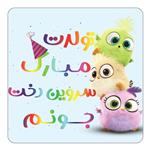 مگنت کاکتی طرح تولد سروین دخت مدل پرندگان خشمگین Angry Birds کد mg58989