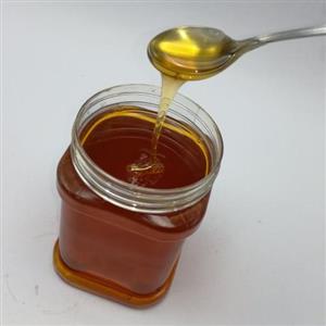 عسل گون ارگانیک مقدار 1 کیلوگرم