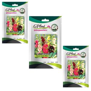 بذر گل ختمی گلدرشت پرپر الوان گلبرگ پامچال کد GPF-047 مجموعه 3 عددی