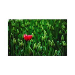 پادری مدل گل و طبیعت کد M35M001-MF0025 سایز 76x46 سانتی متر