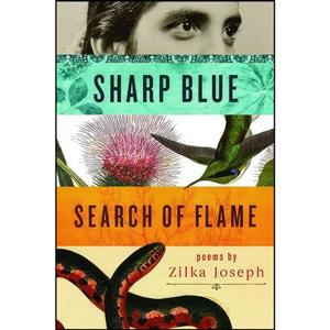 کتاب Sharp Blue Search of Flame اثر Zilka Joseph انتشارات Wayne State University Press 