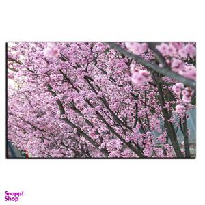 تابلو شاسی بکلیت طرح طبیعت شکوفه های گیلاس مدل SH-8895