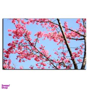 تابلو شاسی بکلیت طرح طبیعت شکوفه و جوانه مدل SH-8898