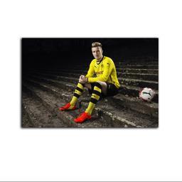 تابلو شاسی بکلیت طرح بازیکن فوتبال مارکو رویس تیم دورتموند مدل SH-S7168