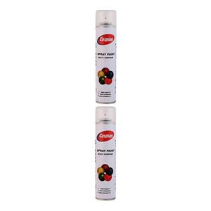اسپری کیلر کاسپین مدل Professional حجم 300 میلی لیتر مجموعه 2 عددی