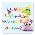 مگنت کاکتی طرح تولد شروین دخت مدل پرندگان خشمگین Angry Birds کد mg59480