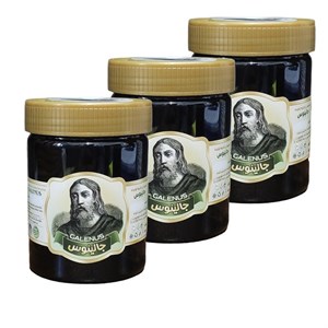 چهار شیره طبیعی سنتی جالینوس - 500 گرم بسته 3 عددی