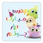 مگنت کاکتی طرح تولد دیار مدل پرندگان خشمگین Angry Birds کد mg58122