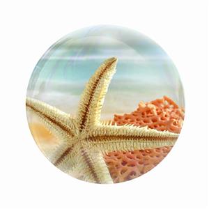 پیکسل عرش مدل منظره طبیعت ساحل کد Asp5821