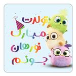 مگنت کاکتی طرح تولد نورهان مدل پرندگان خشمگین Angry Birds کد mg62334