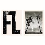 پوستر مدل فلوریدا -چاپ ساحل و درخت نارگیل مجموعه 2 عددی