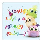 مگنت کاکتی طرح تولد ویستور مدل پرندگان خشمگین Angry Birds کد mg62992